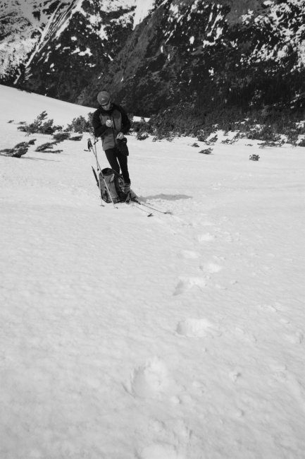 Kolem nás pobíhá huňáč a David si v klidu telefonuje