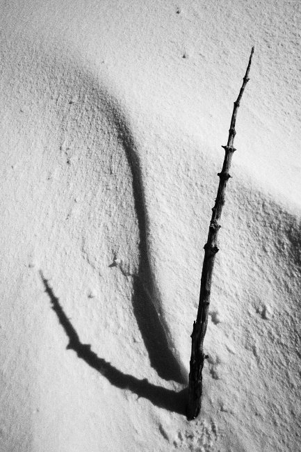 Dva stíny, dvě slunce?