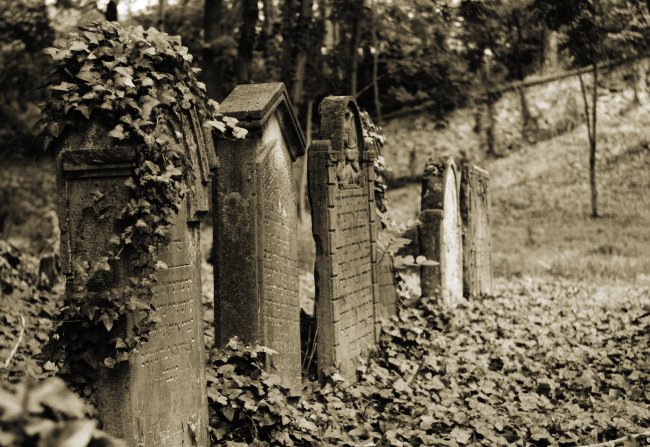 Židovský hřbitov v Moravském Krumlově