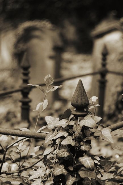 Židovský hřbitov v Moravském Krumlově