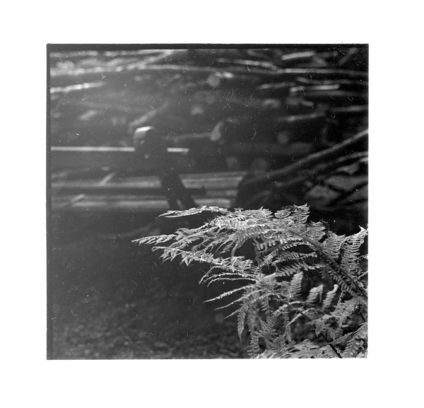 Dřevo máme, zima může přijít