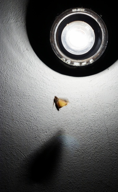 Večer před odjezdem