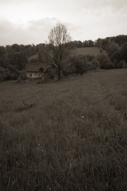 Samota v Červeném dole