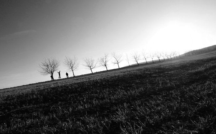 Cesta ke Slunci začíná u prvního stromu