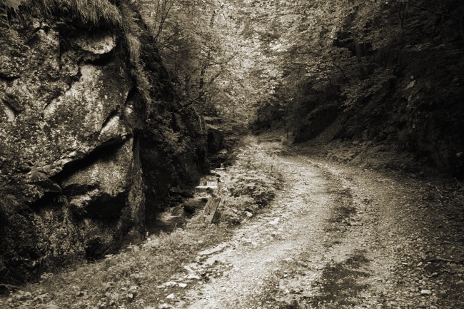 Soutěska Strážovského potoka