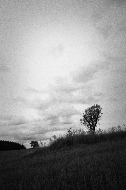 Pole, louky, remízky