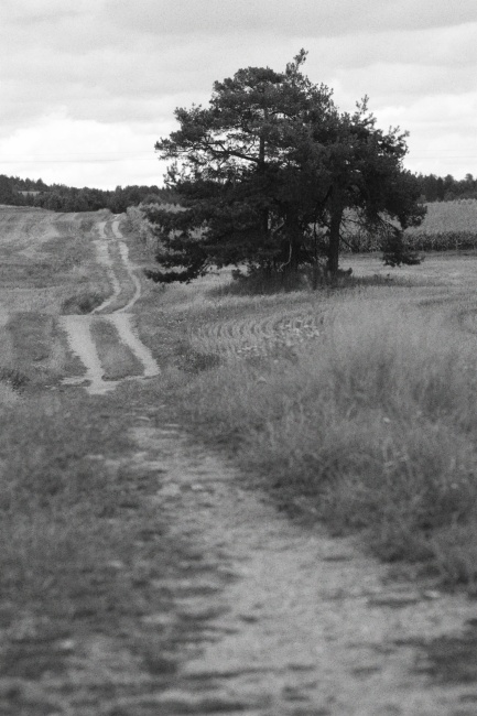 Třebíčské cyklostezky