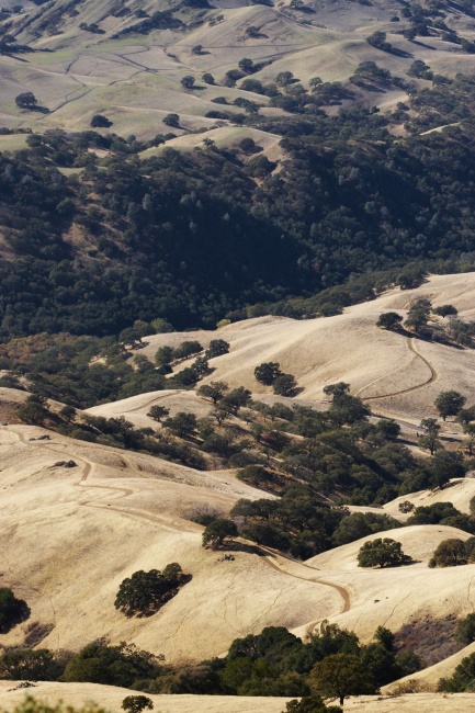 Cyklostezky skoro jako na Třebíčsku