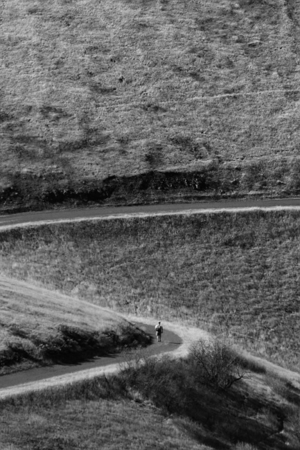 Nějaká bloudící duše