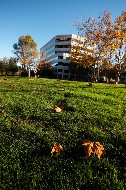 Všechny trávníky jsou dokonale upravené a tráva je tak hustá, že po ní člověk chodí jako by se procházel po polštáři