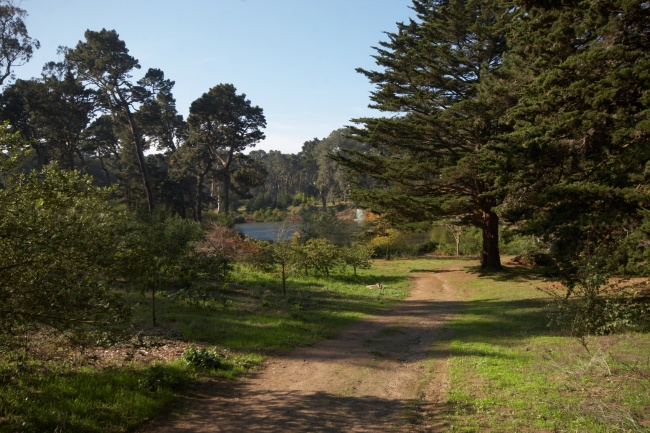 Svůj trek zahajuji vstupem do Golden Gateparku. Nedal jsem na stresující řeči Huga, že je nutné najít bránu a žebudu muset jít několik km než ji najdu. Do parku se dá vejít kudykoliv,nejsou tam žádné ploty. Hugo, Hugo, zamysli se nad sebou.