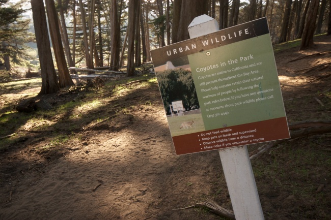 A další pěkná cedulka - při setkání s kojotem ho člověk nemá krmit a místo toho by měl raději začít dělat pořádnej randál.