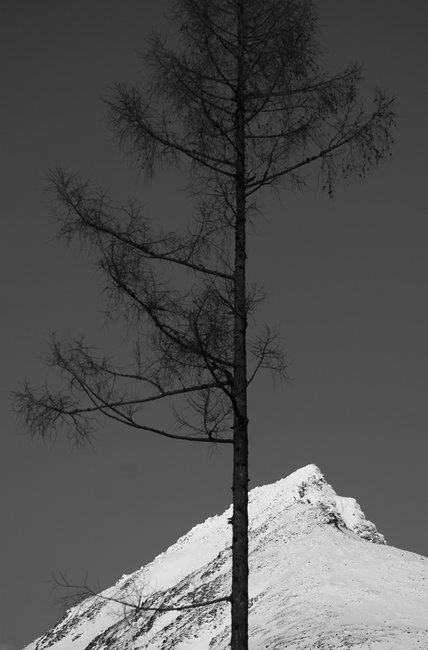 Jeden z těch co přežili