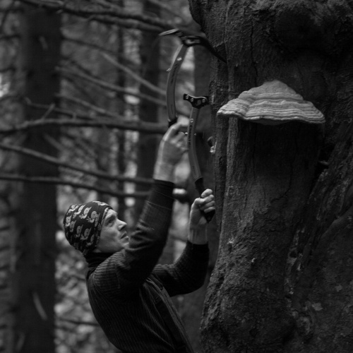 David konečně našel ten svůj starej strom