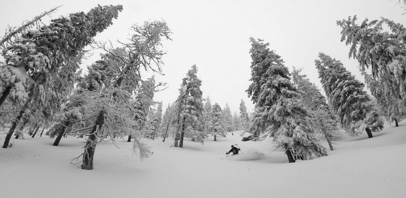 Sviní důl, ráj pro leso skialpinisty