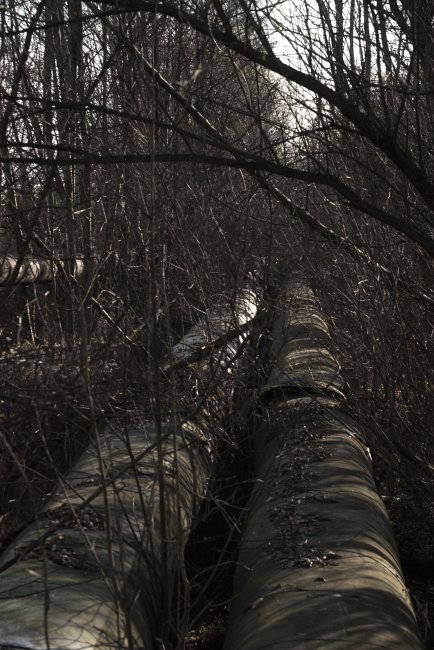 Někdy vede cesta hustým podrostem jen po potrubí