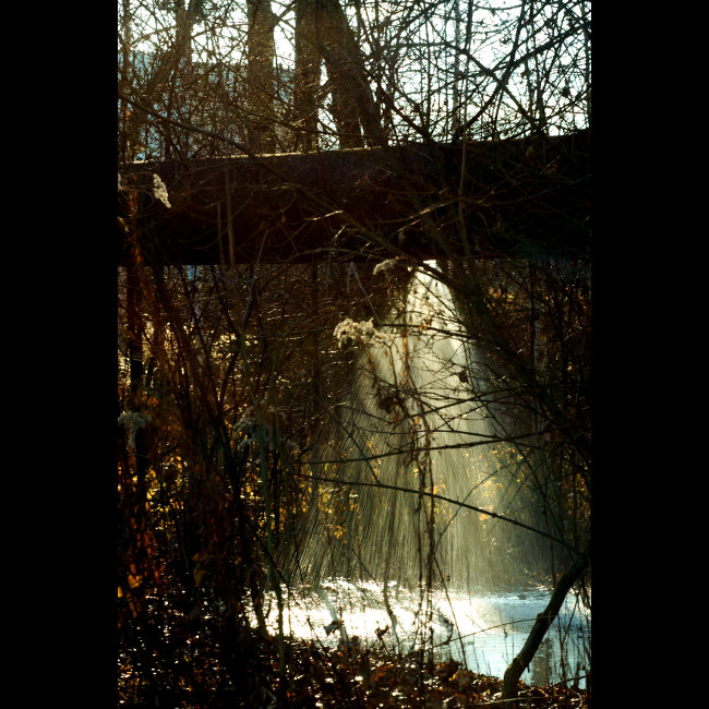 Proražené potrubí v lese u dolu Darkov