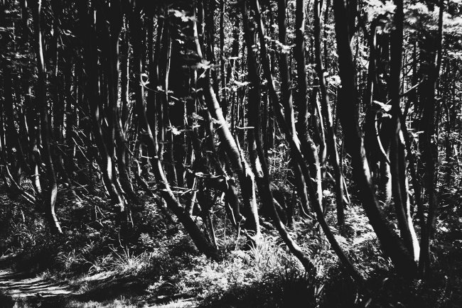 Cestou na Martiňák