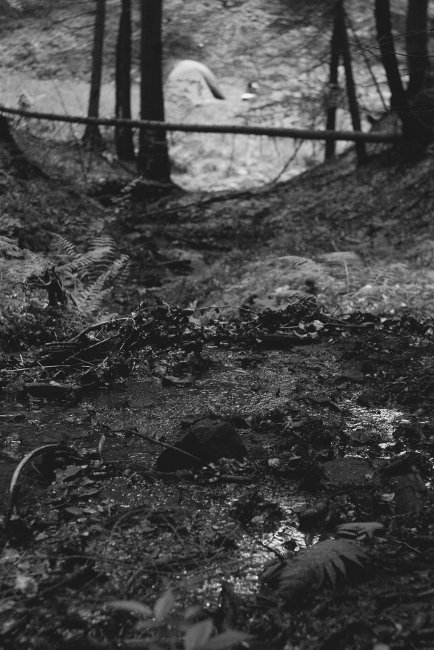 Tábořiště na soutoku čtyřech potoků