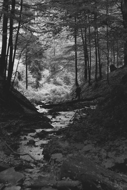 Korytem potoka Červík