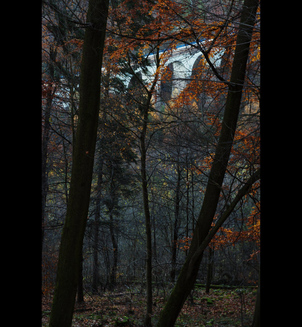 Nad Dolníma Loučkama