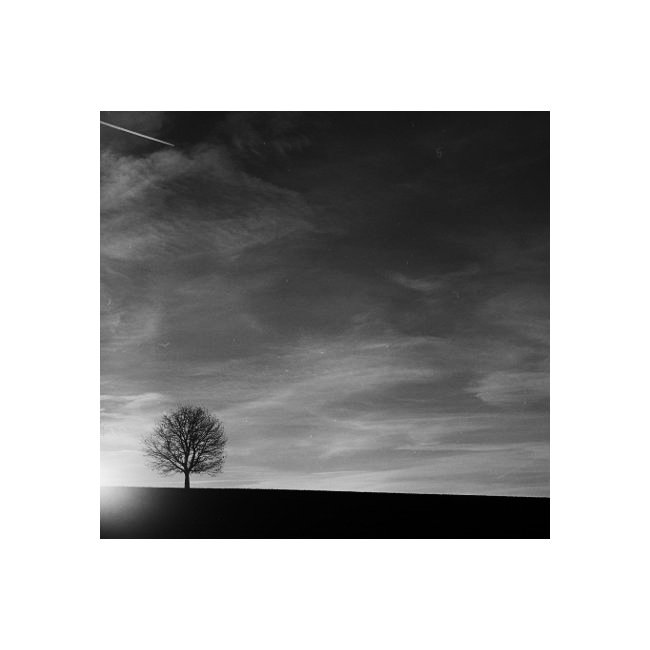 Foceno Pentaconem Six