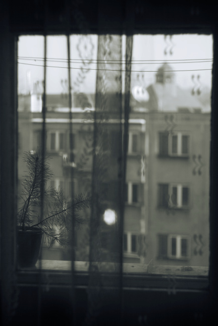 Mamčin květináč a vzadu věž mé základky