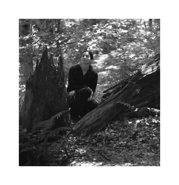 V pralese Čerňavina