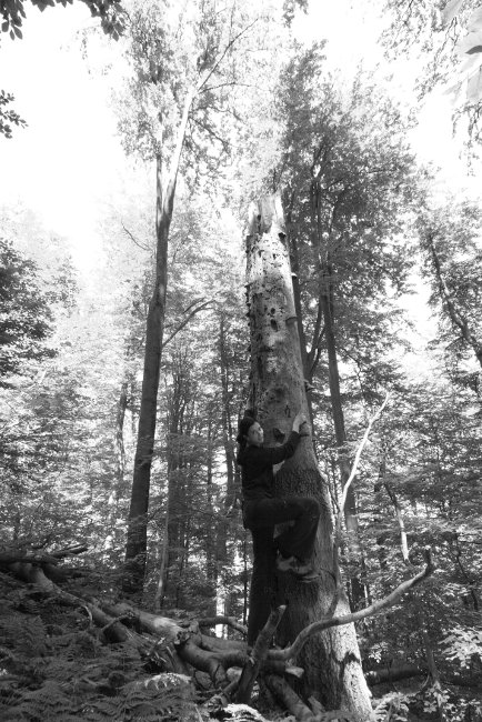 Přírodní chorošová bouldrovka