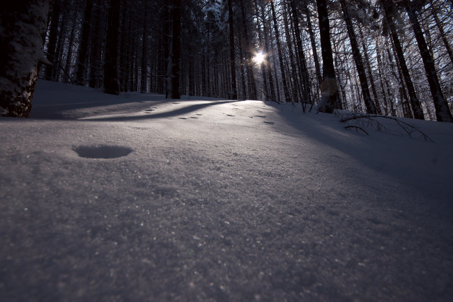 Takhle vidí šlapání stopy moje Traby