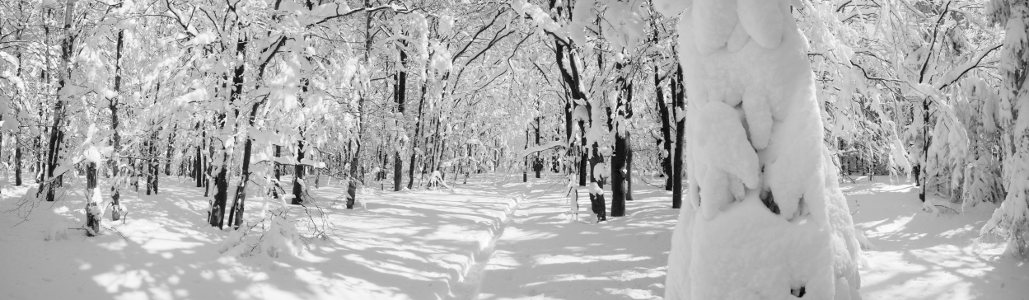 Sněhové království na vrcholu Ostrého