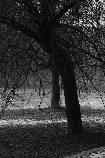 Pod Falcovským mlýnem