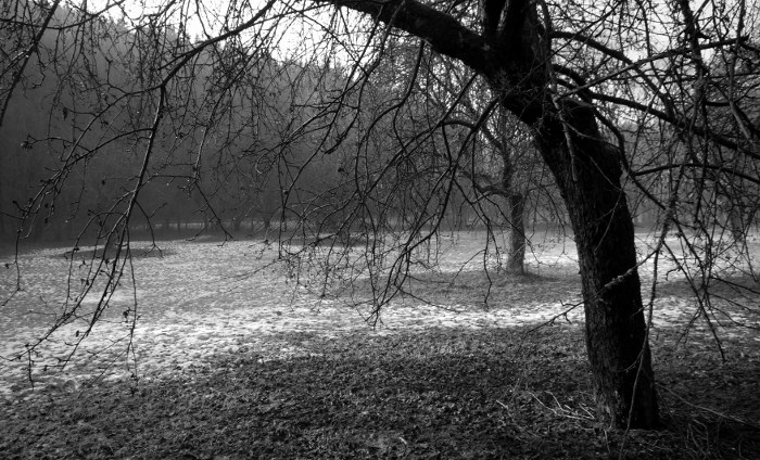 Pod Falcovským mlýnem