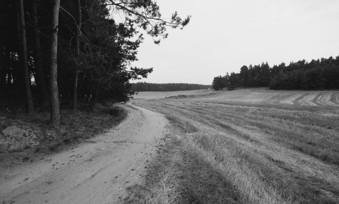 Za odměnu - cesta mezi Trnavou a Náramečí