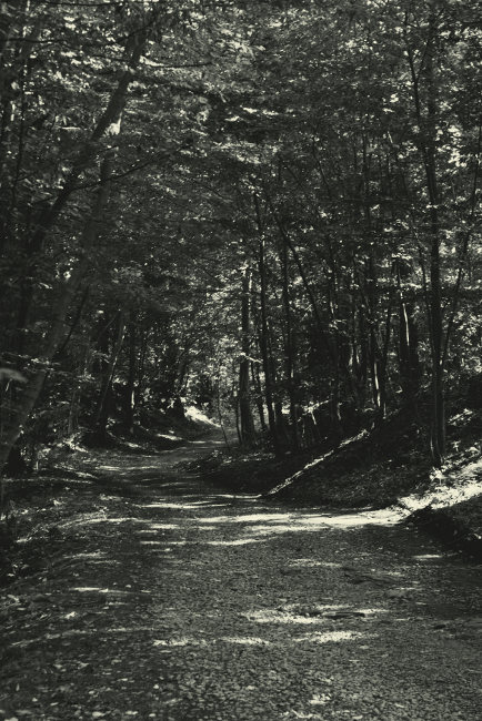 Na vycházce údolím Rokytné