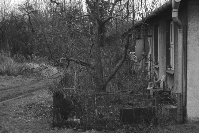 I tady se bydlí.Borek