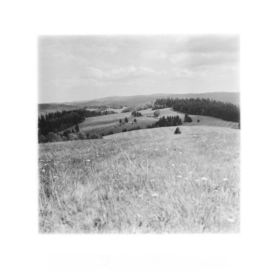 Horské louky z vrcholu Zákľuky, kde jsme obědvali