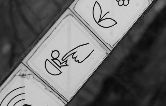 Zákaz potápění malých kachen