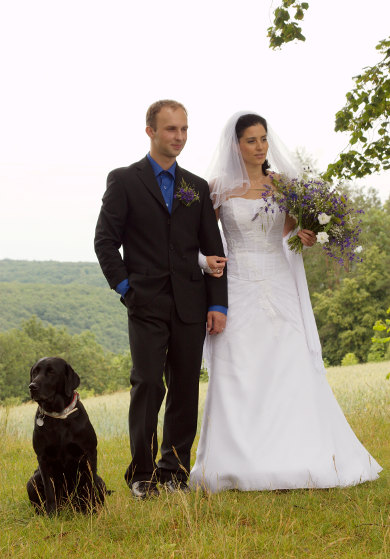 Peggy, já a Market. Za náma kopečky a lesy Moravského krasu.