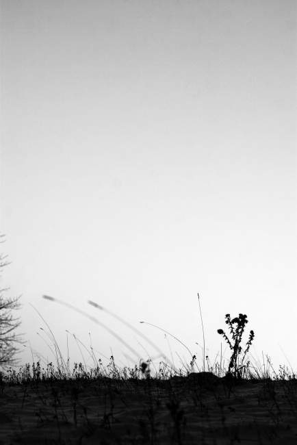 Večerní prochajda po loukách nad Stříbrnicema