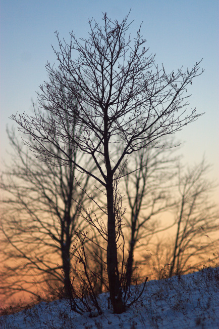 Večerní prochajda po loukách nad Stříbrnicema