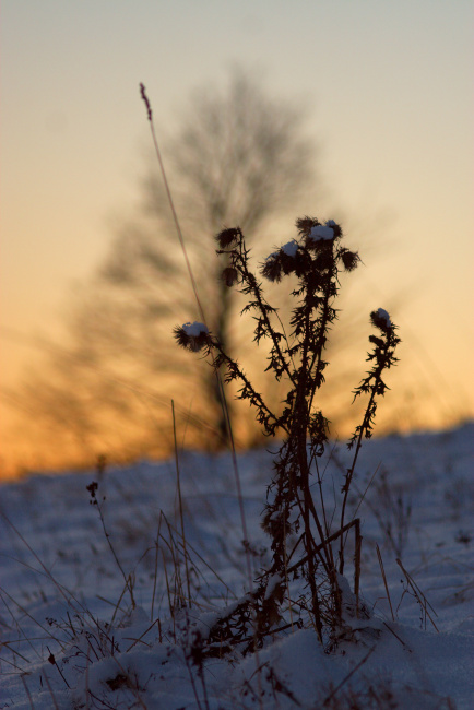 Večerní prochajda po loukách nad Stříbrnicema