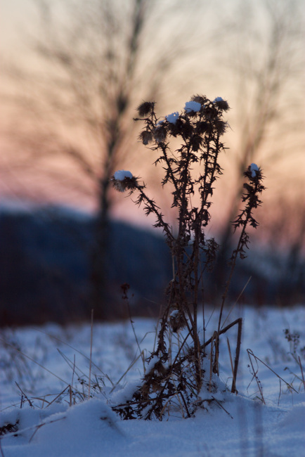 Večerní prochajda po loukách nad Stříbrnicema