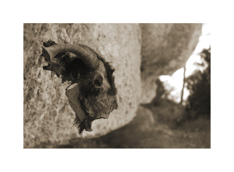 Něco pro Márův kalendář - na zemi pod trofejí byl zbytek kamzíka