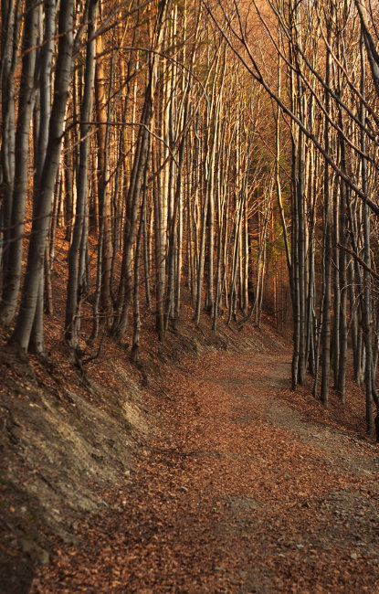 Se západem slunce dolů do Košařisek a do Brna