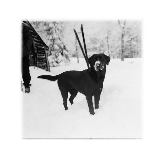 Naše Peggy na Ostrém zavaleném metrem a půl sněhu.