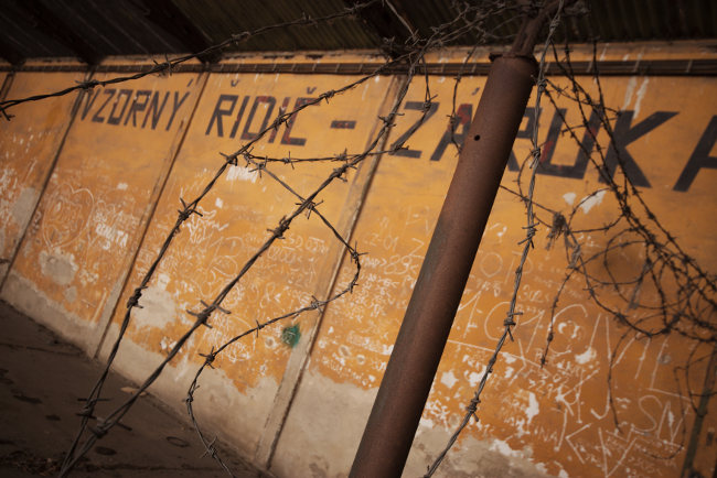 Vzorný řidič - záruka splnění úkolu