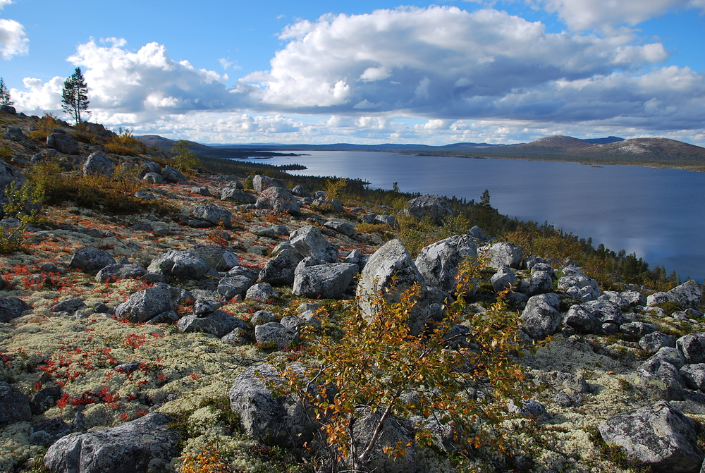 Severní část jezera Rogen, v dálce v lesích je Reva, kde jsme strávili dvě noci