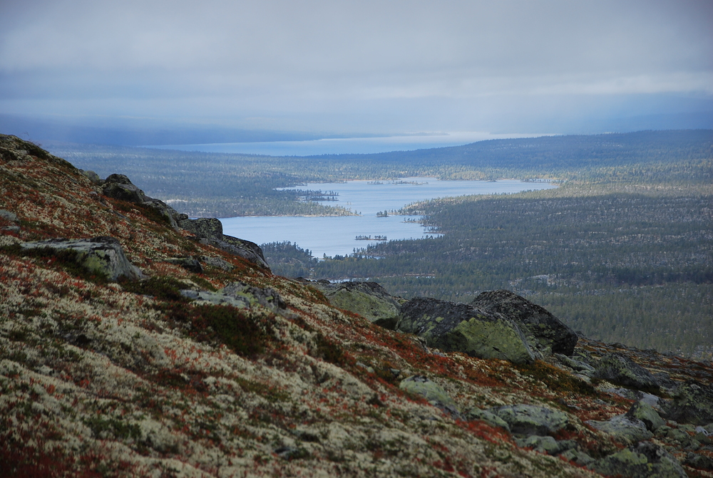 Jeden z treků na okolní kopce