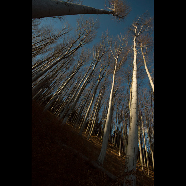 Na staré značce nad Kozincem